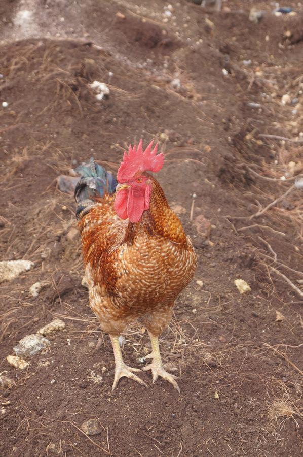 Le Gite Du Koniambo Voh Dış mekan fotoğraf