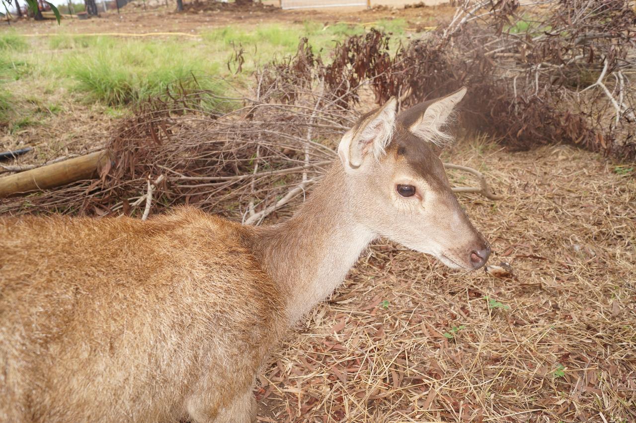 Le Gite Du Koniambo Voh Dış mekan fotoğraf