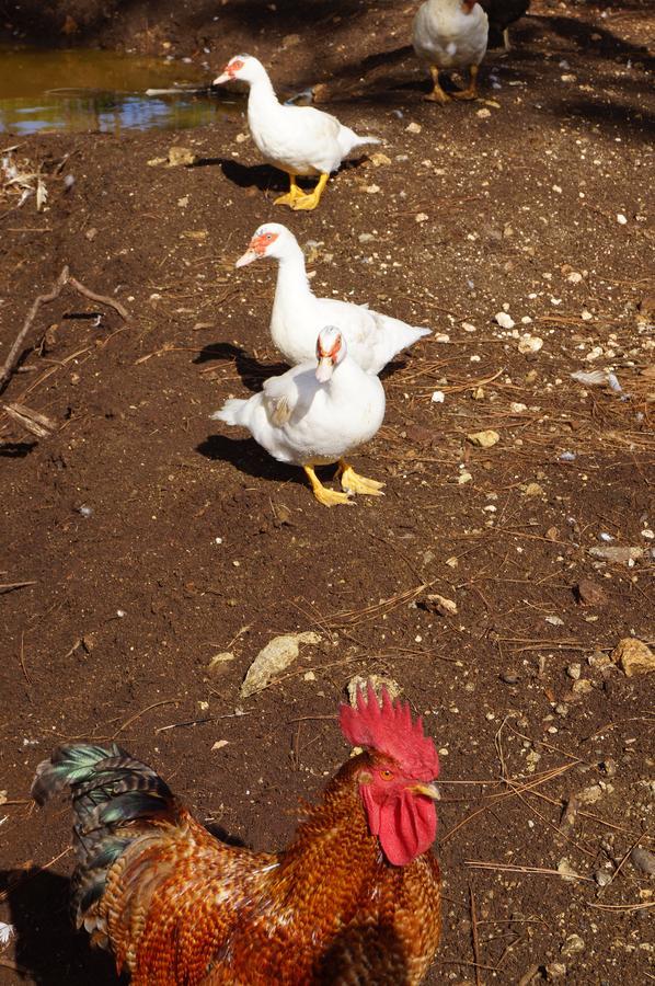 Le Gite Du Koniambo Voh Dış mekan fotoğraf