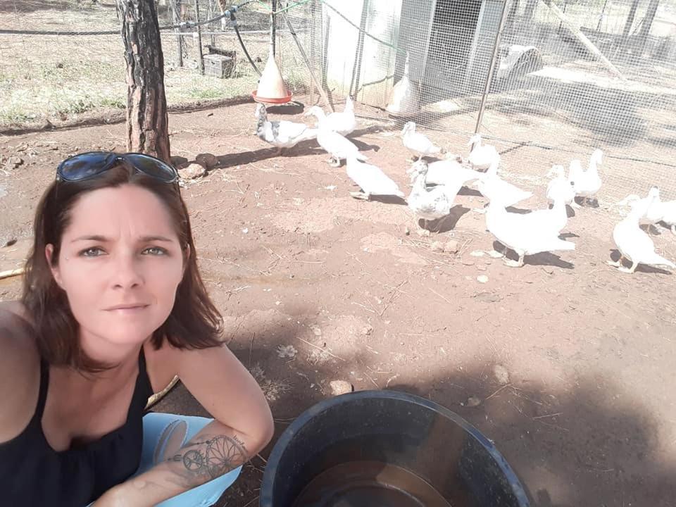 Le Gite Du Koniambo Voh Dış mekan fotoğraf